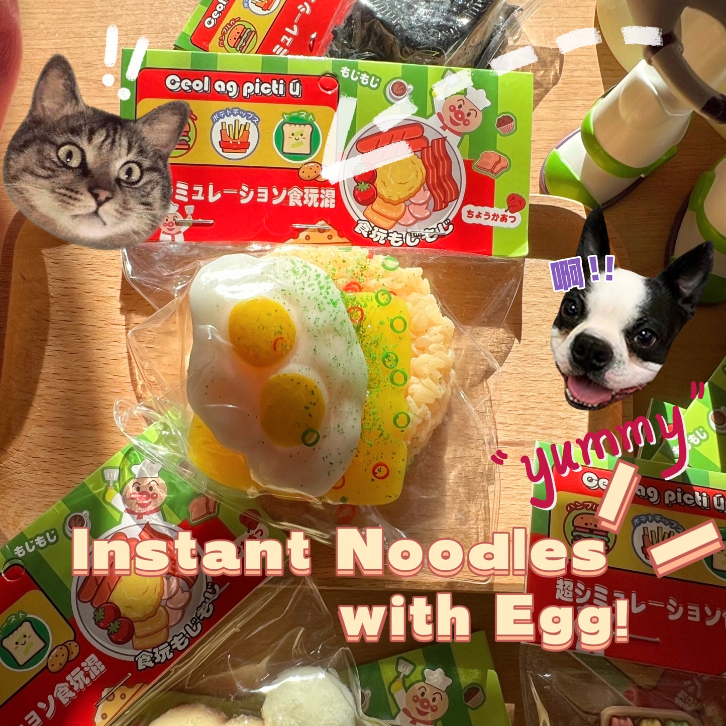 Squishy-Instant Noodles with Egg